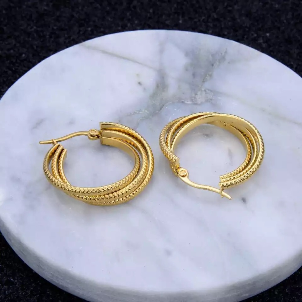 Stainless steel hoop circle twisted earrings - Picture 3 of 6